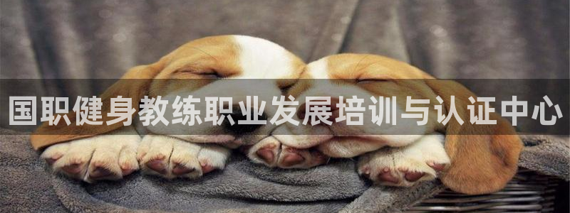 意昂4官方网站