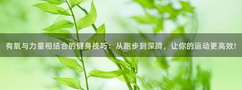 意昂4平台