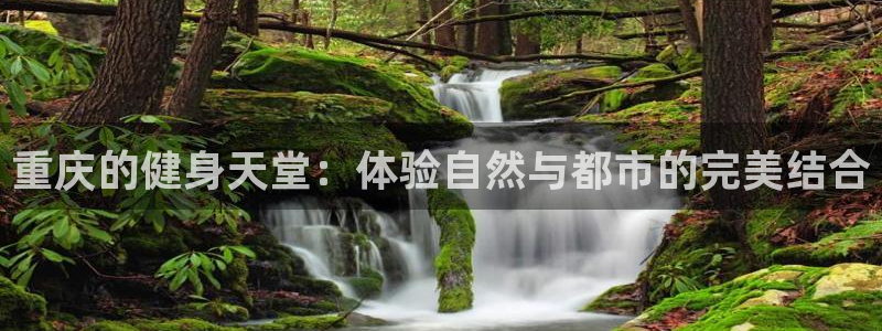意昂4娱乐