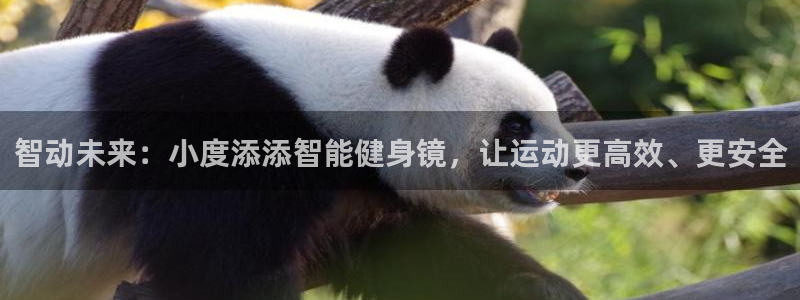 意昂4代理