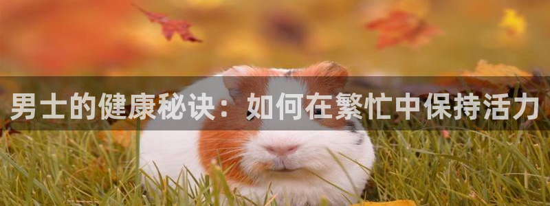 意昂4招商