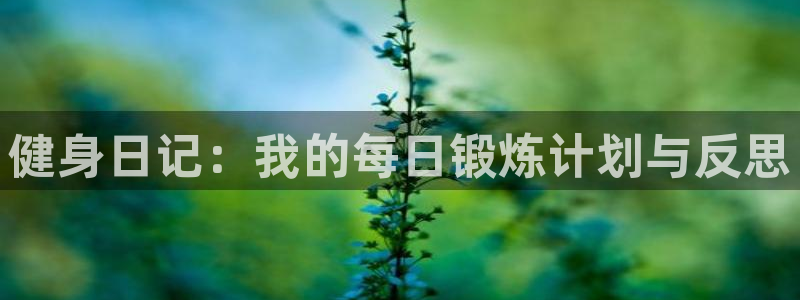 意昂4招商