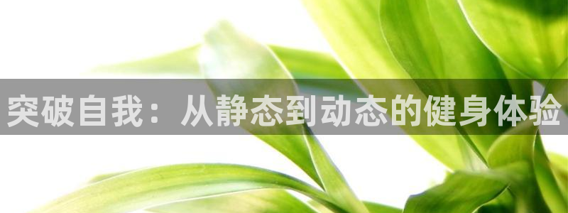 意昂4官方平台