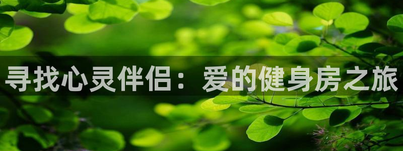 意昂4官方平台